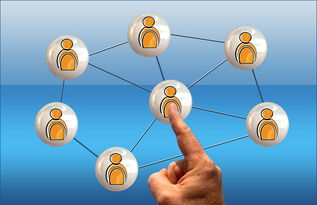 網絡營銷產品與軟件銷售全攻略 策略、工具與實戰技巧